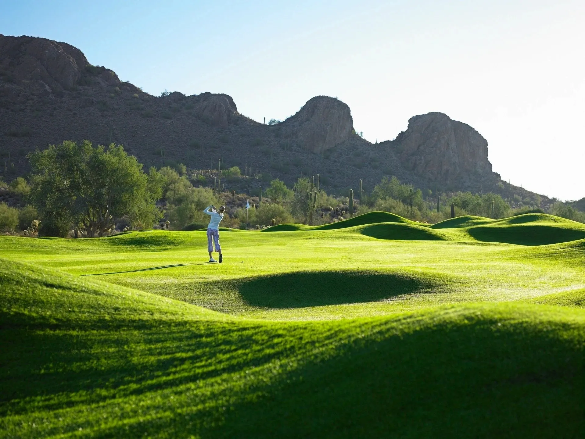 A man is playing golf on the green