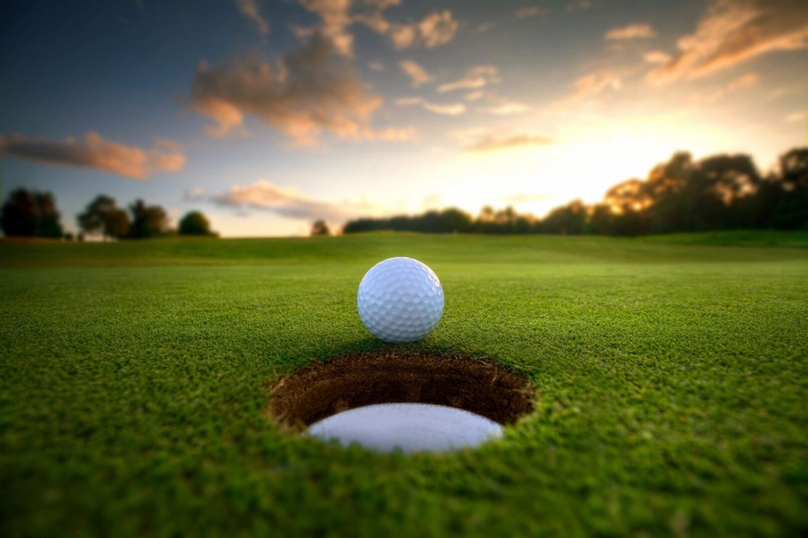 A golf ball is in the hole on a green.